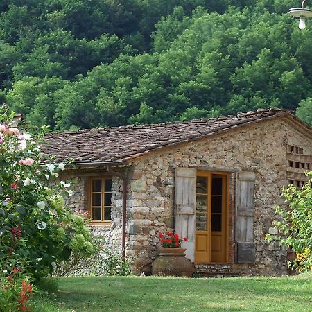 Villa Bottino By Salogi Villas San Martino in Freddana Zewnętrze zdjęcie