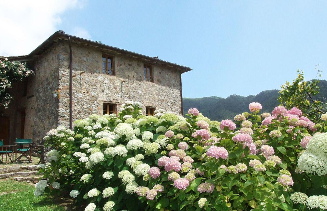 Villa Bottino By Salogi Villas San Martino in Freddana Zewnętrze zdjęcie